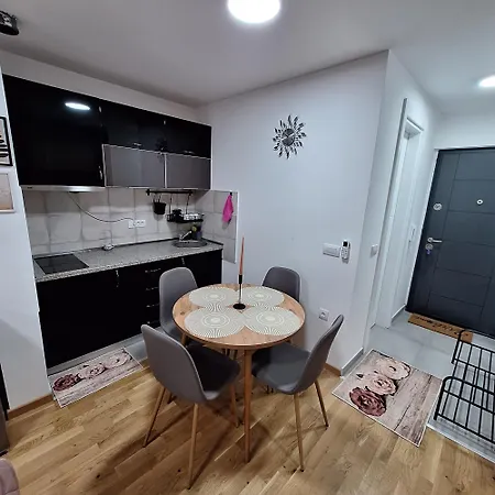 Delight Vrnjacka Banja Apartment *